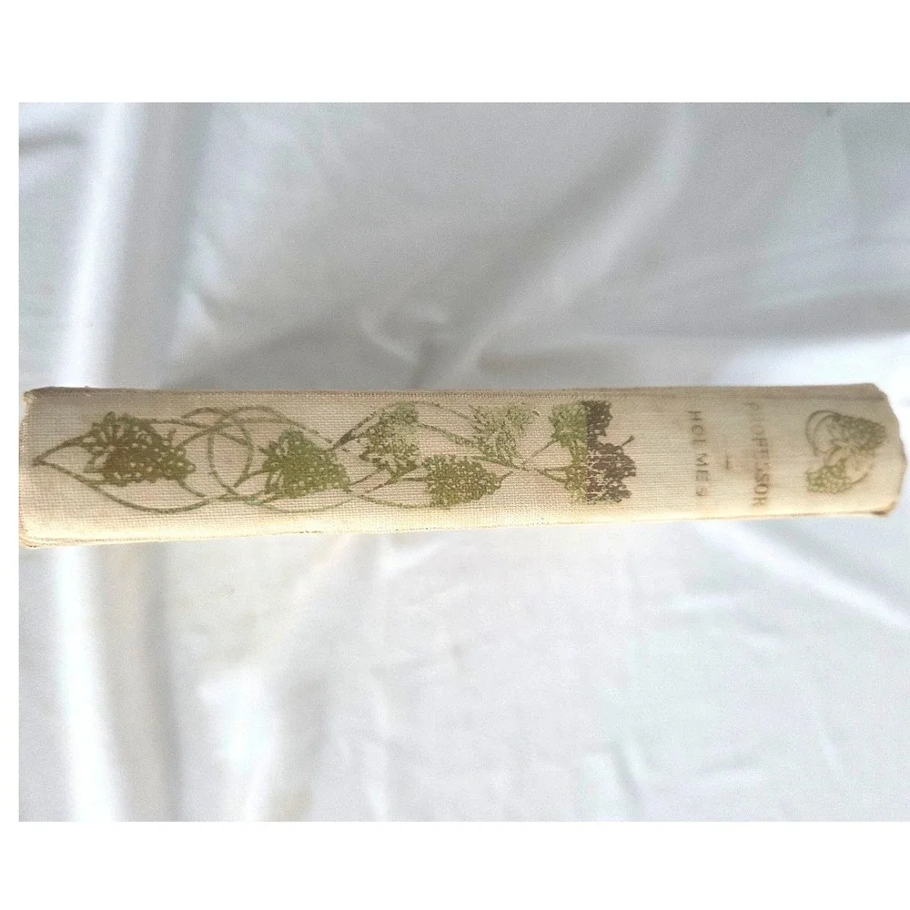 Antique Professor at the Breakfast Table Oliver Wendell Holmes Book